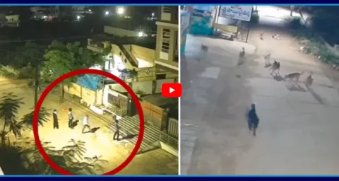 Dogs Track Down Gang Of Thieves In Metpalli10