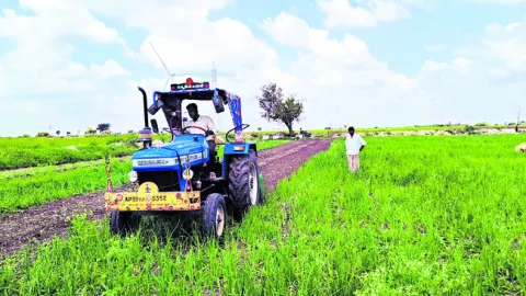 ఉల్లి.. రైతు  తల్లడిల్లి!