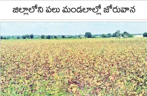 రైతు