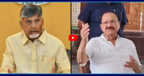 Venkaiah Naidu Sensational Comments On Chandrababu Govt