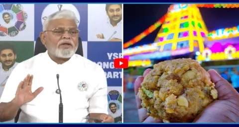 Ambati Rambabu Revels Shocking Facts On Tirumala Laddu Ghee Case  4