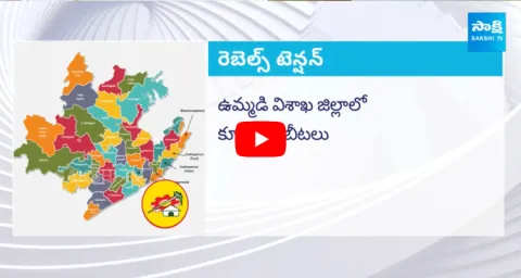 Big Shock to Chandrababu From Rebels In Visakhapatnam