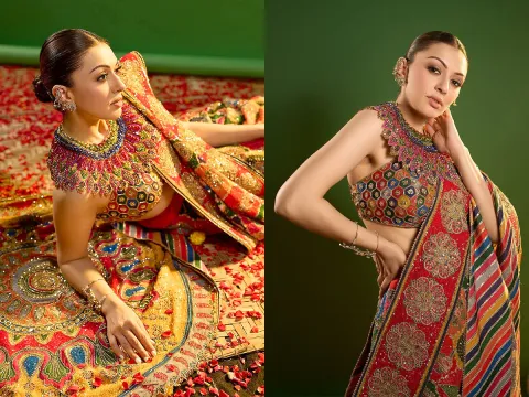 Actress Hansika shines In a colorful saree PHotos