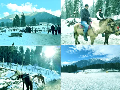 Pahalgam Attack: Tourists Que For Baisaran Valley For These Beautiful Locations Photos
