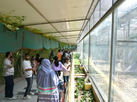 Tourists Throng To Nehru Zoological Park Photos1