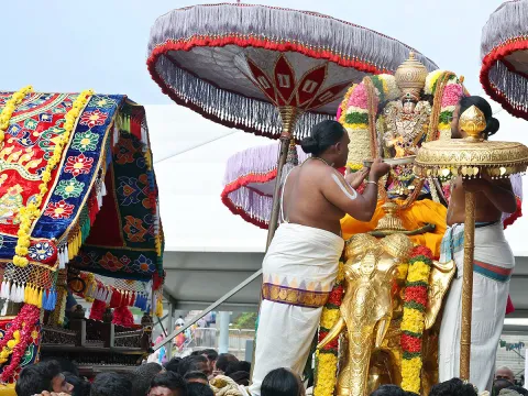 Sri Padmavathi Srinivasula Parinayotsavam Tirumala Photos1