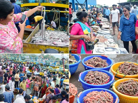 Fish Market in Visakhapatnam Photos