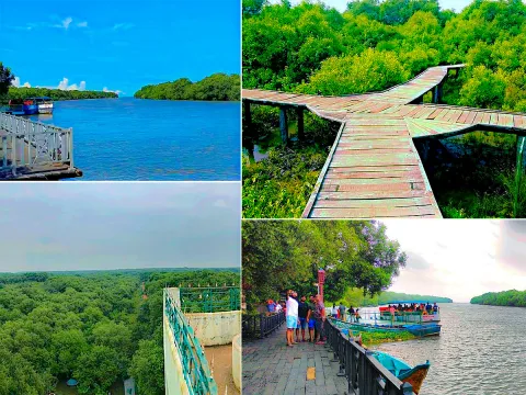 Coringa Wildlife Sanctuary Near Kakinada in Andhra Pradesh Photos