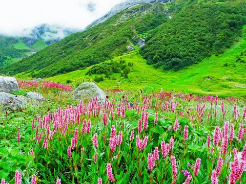 World Environment Day 2025: Most Beautiful Nature Destinations In India