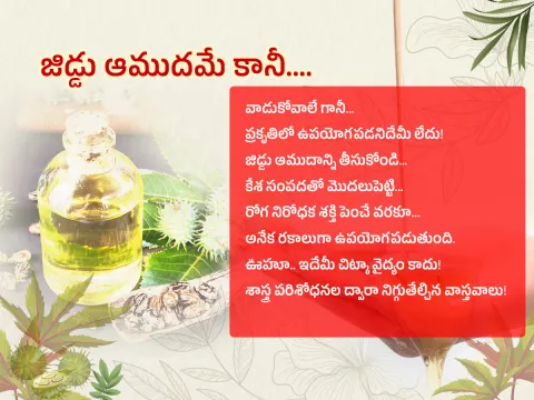 Castor Oil : Health Benefits Amudham