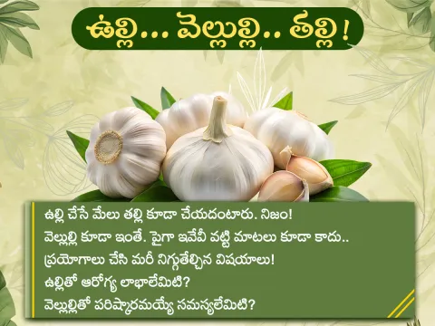 Health Tips : Health Benefits of Garlic Photos