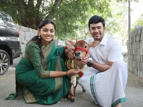 Tejasvi Surya, Sivasri Skandaprasad welcome New family member Beautiful Punganur cow Photos