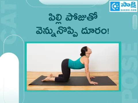 Marjariasana: How to do Cat Pose And Its Benefits