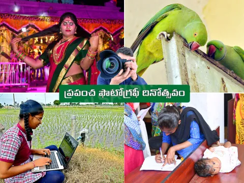 World Photography Day 2025 Special Photos in Sakshi