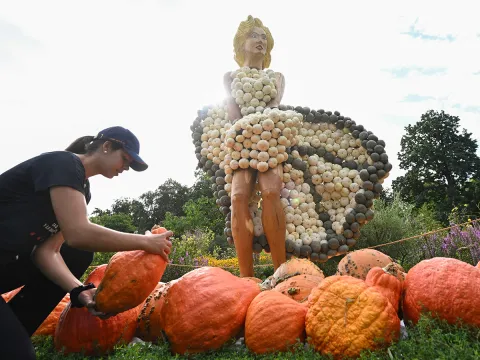 Pumpkin Festival Germany 2025 Photos