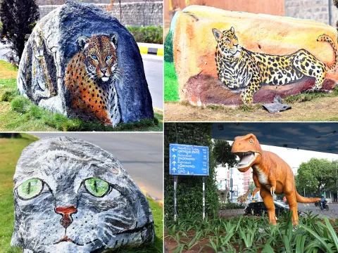 Wild Animals in Hyderabad Roads