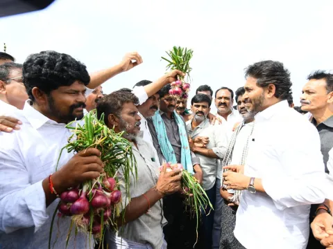 YS Jagan Visits Onion And Cheeni Farmers Photos