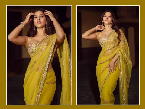 Nabha Natesh looks stunning in a saree with glamour (Photos)
