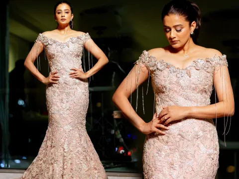 Priyamani in designer dress at Filmfare Awards ceremony (photos)