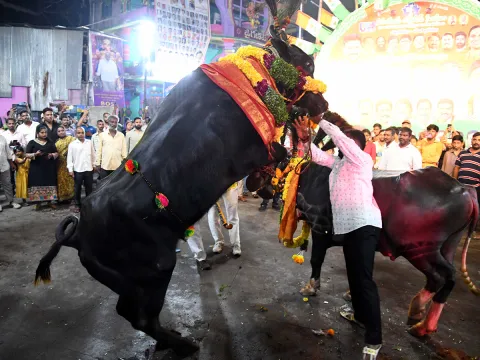 Sadar Festival 2025 Celebrations In Hyderabad Photos