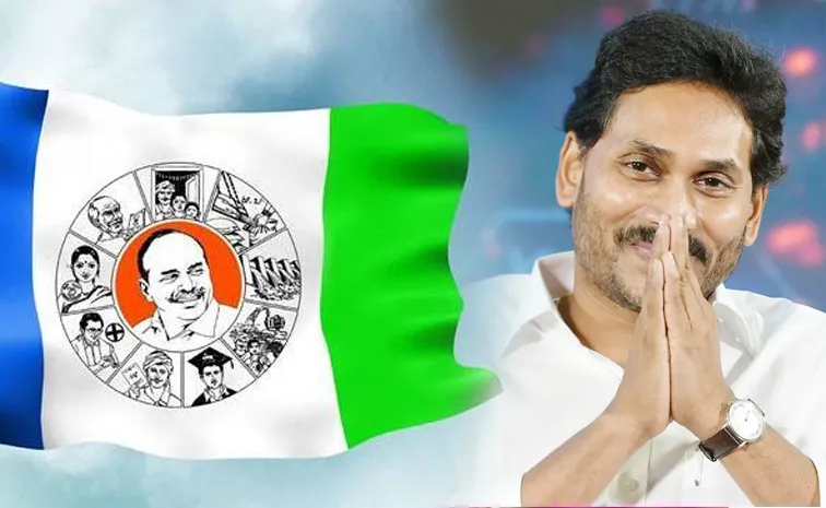 YSRCP Leaders Celebrates YS Jagan Mohan Reddy Birthday In AP