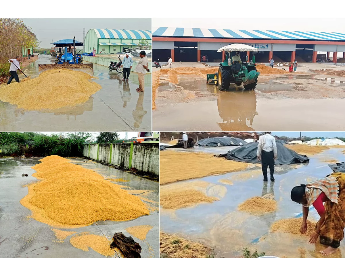 Crops Damage Due to Unexpected Rain in Telangana Photos - Sakshi