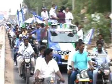 State level Cattle competitions in chirala