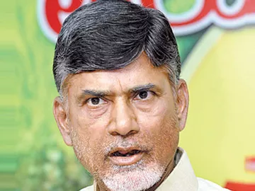 రాజకీయ కుట్రలను పక్కన పెట్టండి: చంద్రబాబు - Sakshi