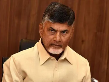 మా వాళ్లు తొందరపడ్డారు: చంద్రబాబు - Sakshi