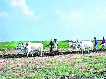 పట్టాలి అరక.. దున్నాలి మెరక - Sakshi