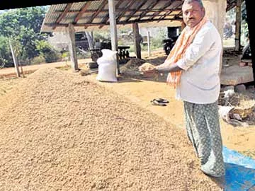 కొనుగోల్ మాల్!