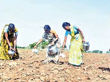 కరువుఛాయలు - Sakshi