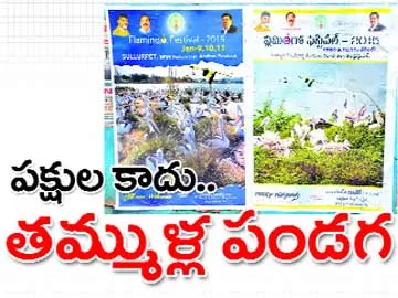 పక్షుల కాదు.. తమ్ముళ్ల పండగ - Sakshi