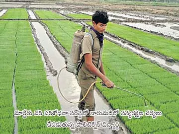 ముందస్తు సాగు.. మహా జాగు - Sakshi