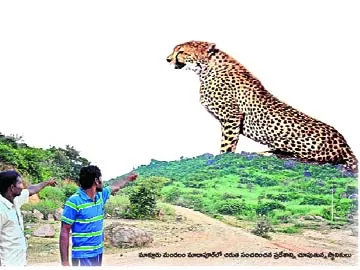 అదిగో.. చిరుత