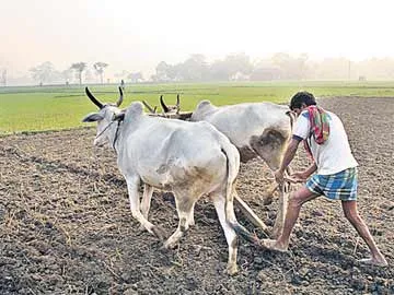 సమస్యల సాగు షురూ! - Sakshi