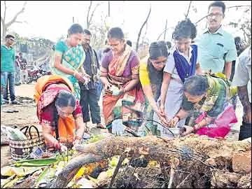 పుట్టలు తవ్వి.. పాలు పోసి - Sakshi