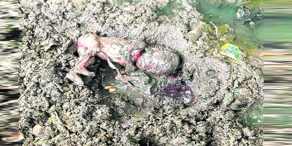 death Birth baby found in dirty canal 