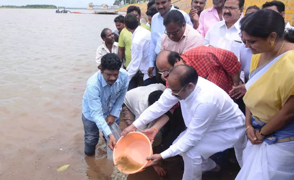 2.25 lakh fish  Kotilingala Ghat in Rajahmundry  - Sakshi