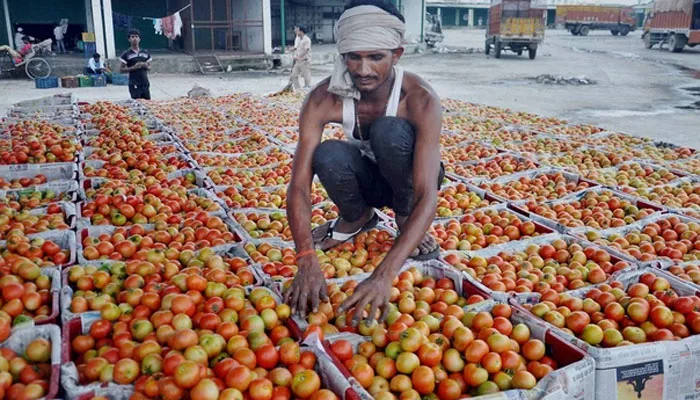 Tomatoes at Rs 300 per kg, but Pakistan won't import from India - Sakshi