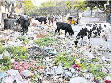 జరిమానాలతో వీధులను శుభ్రంగా ఉంచగలమా?