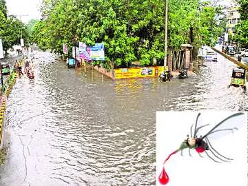 సీజనల్ వ్యాధులతో జాగ్రత్త