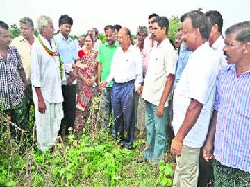 ‘పోడు’దారులందరికీ పట్టాలివ్వాలి