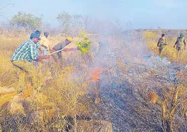 నల్లమల అటవీప్రాంతంలో మంటలు - Sakshi