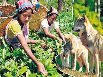 మాటేశారు... కాటేశారు - Sakshi