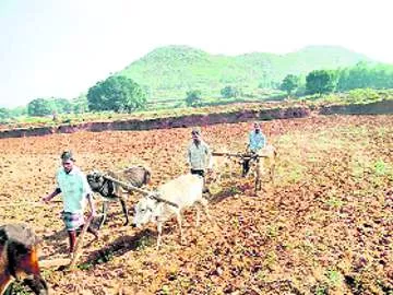 సేద్యం ఎలా సాధ్యం