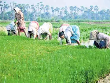 ఖరీఫ్ నుంచి కొత్త బీమా - Sakshi