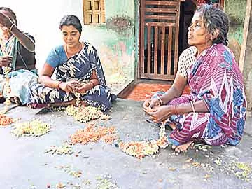 పురుగు మందులు ఇంట్లో లేకపోతే.. ఆత్మహత్యలు ఆగుతాయా? - Sakshi