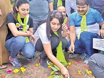 హరితహారం. నేడే శ్రీకారం - Sakshi