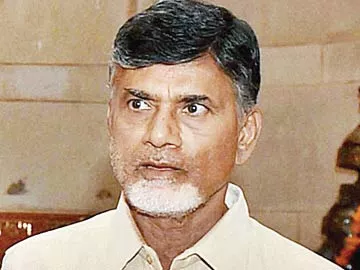 జైట్లీ మాటలు బాధించాయి: చంద్రబాబు - Sakshi